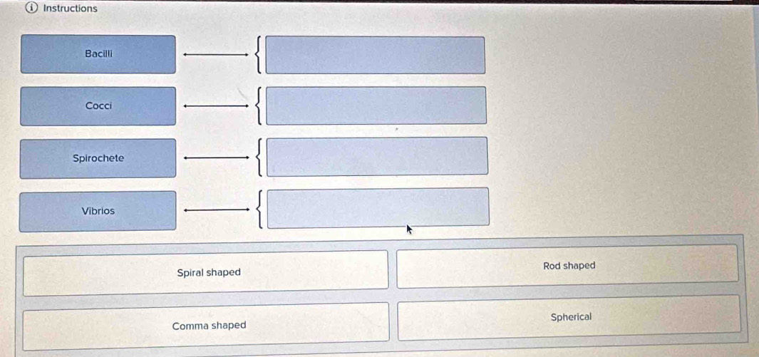 ① Instructions
Bacilli
Cocci
Spirochete
Vibrios
Rod shaped
Spiral shaped
Comma shaped Spherical
