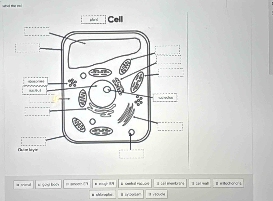 label the cell
:: animal ss golgi body # amooth ER : rough ER :: central vacuole : cell membrane # celi wall : mitochondria
: chioroplast # cytoplasm # vacuole