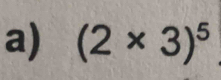 (2* 3)^5