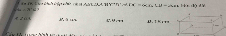 Cho hình hộp chữ nhật ABCD.A' B'C'D' có DC=6cm, CB=3cm. Hỏi độ dài
của A'B' là?
A. 3 cm. B. 6 cm. C. 9 cm. D. 18 cm.
C
Câu II. Trong hình vẽ