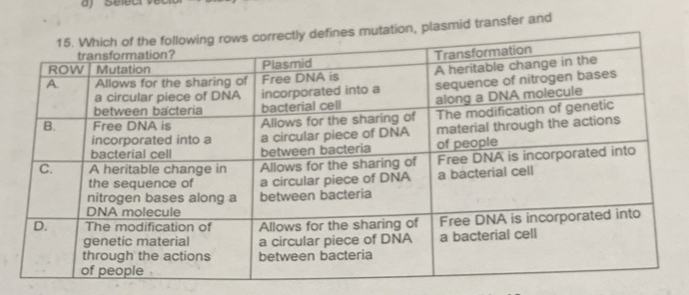 plasmid transfer and