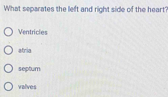 What separates the left and right side of the heart?
Ventricles
atria
septum
valves