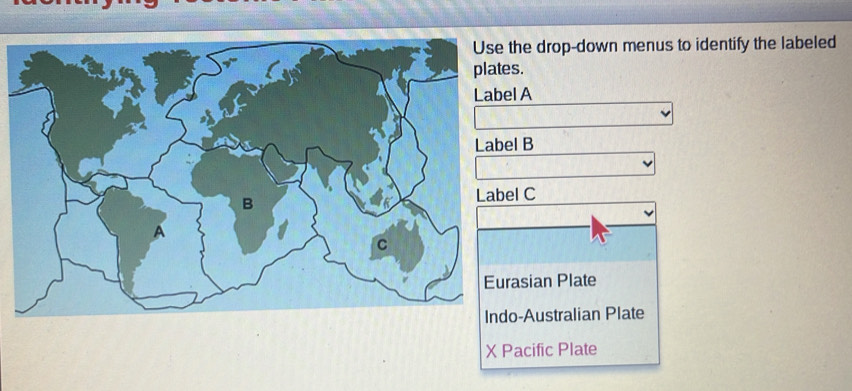 Solved: Use the drop-down menus to identify the labeled plates. Label A ...