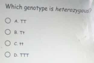 Image Result For Free Which Of These Genotypes Are Heterozygous A Tt B Tt C Tt