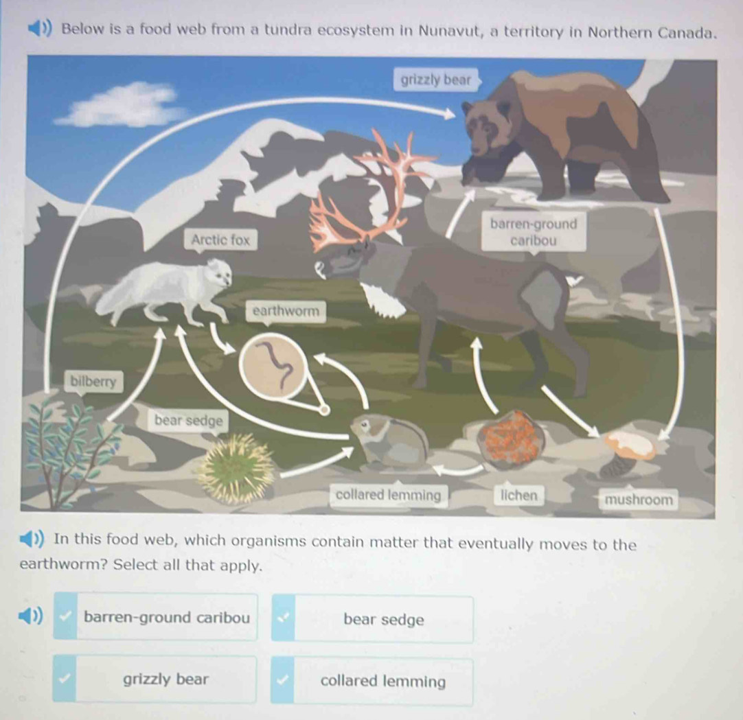 Below is a food web from a tundra ecosystem in Nunavut, a territory in Northern Canada.
In this food web, which organisms contain matter that eventually moves to the
earthworm? Select all that apply.
barren-ground caribou bear sedge
grizzly bear collared lemming