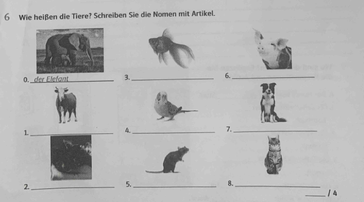 Wie heißen die Tiere? Schreiben Sie die Nomen mit Artikel. 
0. der Elefant_ 3._ 6._ 
1. 
4._ 
7._ 
2._ 
5._ 
8._ 
_1 4