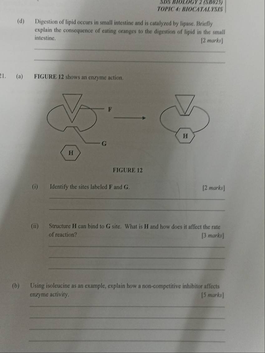 SDS BIOLOGY 2 (SB025) 
TOPIC 4: BIOCATALYSIS 
(d) Digestion of lipid occurs in small intestine and is catalyzed by lipase. Briefly 
explain the consequence of eating oranges to the digestion of lipid in the small 
intestine. [2 marks] 
_ 
_ 
21. (a) FIGURE 12 shows an enzyme action. 
(i) Identify the sites labeled F and G. [2 marks] 
_ 
_ 
(ii) Structure H can bind to G site. What is H and how does it affect the rate 
of reaction? [3 marks] 
_ 
_ 
_ 
(b) Using isoleucine as an example, explain how a non-competitive inhibitor affects 
enzyme activity. [5 marks] 
_ 
_ 
_ 
_