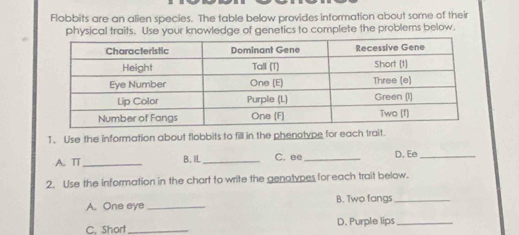 Flobbits are an alien species. The table below provides information about some of their 
physical traits. Use your knowledge of genetics to complete the problems below. 
1. Use the information about flobbits to fill in the phenotype for each trait. 
A. T _B. IL_ C. ee _D. Ee_ 
2. Use the information in the chart to write the genotypes for each trait below. 
B. Two fangs_ 
A. One eye_ 
C. Short _D. Purple lips_