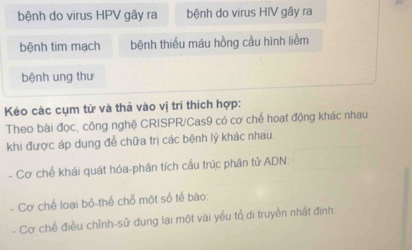 bệnh do virus HPV gây ra bệnh do virus HIV gây ra 
bệnh tim mạch bệnh thiếu máu hồng cầu hình liềm 
bệnh ung thư 
Kéo các cụm từ và thả vào vị trí thích hợp: 
Theo bài đọc, công nghệ CRISPR/Cas9 có cơ chế hoạt động khác nhau 
khi được áp dụng đễ chữa trị các bệnh lý khác nhau. 
- Cơ chế khái quát hóa-phân tích cấu trúc phân tử ADN: 
- Cơ chế loại bỏ-thể chỗ một số tế bào: 
Cơ chế điều chỉnh-sử dụng lai một vài yếu tổ di truyền nhất định: