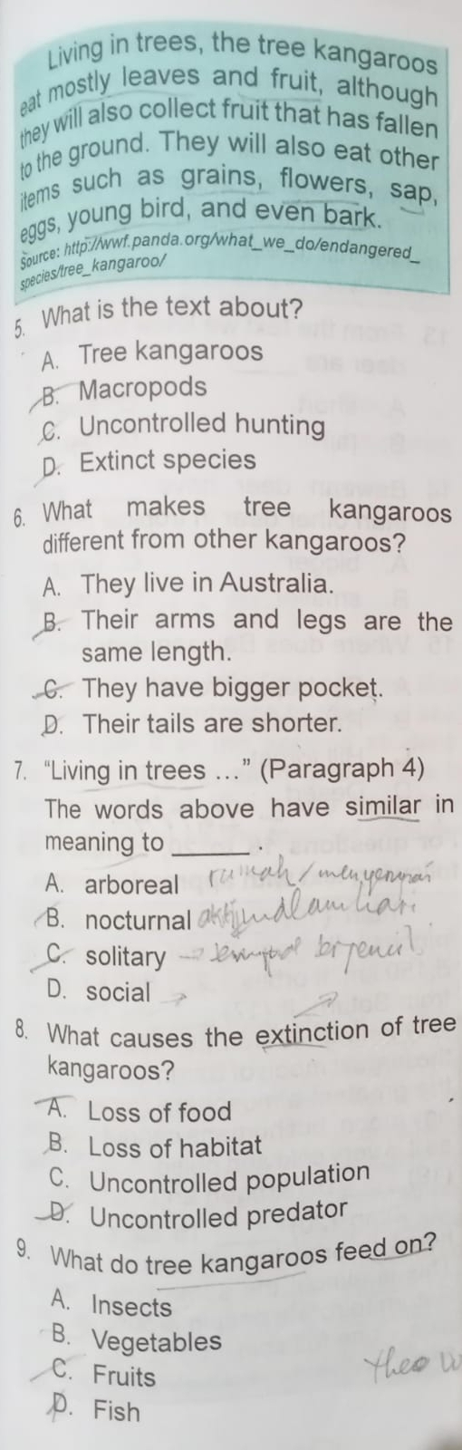 Living in trees, the tree kangaroos
eat mostly leaves and fruit, although
they will also collect fruit that has fallen
to the ground. They will also eat other
items such as grains, flowers, sap,
eggs, young bird, and even bark.
Source: http://wwf.panda.org/what_we_do/endangered
species/tree_kangaroo/
5. What is the text about?
A. Tree kangaroos
B. Macropods
C. Uncontrolled hunting
D. Extinct species
6. What makes tree kangaroos
different from other kangaroos?
A. They live in Australia.
B. Their arms and legs are the
same length.
. C. They have bigger pocket.
D. Their tails are shorter.
7. “Living in trees …” (Paragraph 4)
The words above have similar in
meaning to_
A. arboreal
B. nocturnal
C.solitary
D. social
8. What causes the extinction of tree
kangaroos?
A. Loss of food
B. Loss of habitat
C. Uncontrolled population
D. Uncontrolled predator
9. What do tree kangaroos feed on?
A. Insects
B. Vegetables
C. Fruits
p. Fish