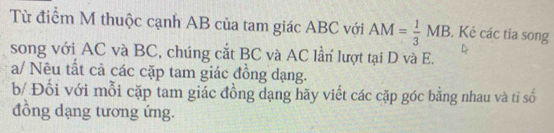 Từ điểm M thuộc cạnh AB của tam giác ABC với AM= 1/3 MB. Kẻ các tia song 
song với AC và BC, chúng cắt BC và AC lần lượt tại D và E. 
a/ Nêu tất cả các cặp tam giác đồng dạng. 
b/ Đối với mỗi cặp tam giác đồng dạng hãy viết các cặp góc bằng nhau và tỉ số 
đồng dạng tương ứng.