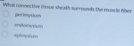 What connective tissue sheath surrounds the muscle fiber
perimysium
endomysium
epimysium