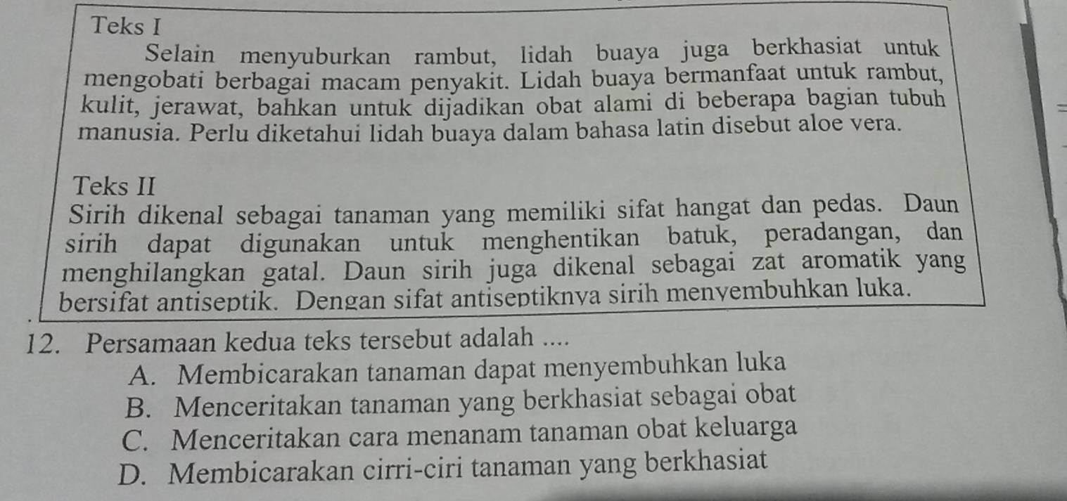 Teks I
Selain menyuburkan rambut, lidah buaya juga berkhasiat untuk
mengobati berbagai macam penyakit. Lidah buaya bermanfaat untuk rambut,
kulit, jerawat, bahkan untuk dijadikan obat alami di beberapa bagian tubuh
manusia. Perlu diketahui lidah buaya dalam bahasa latin disebut aloe vera.
Teks II
Sirih dikenal sebagai tanaman yang memiliki sifat hangat dan pedas. Daun
sirih dapat digunakan untuk menghentikan batuk, peradangan, dan
menghilangkan gatal. Daun sirih juga dikenal sebagai zat aromatik yang
bersifat antiseptik. Dengan sifat antiseptiknva sirih menvembuhkan luka.
12. Persamaan kedua teks tersebut adalah ....
A. Membicarakan tanaman dapat menyembuhkan luka
B. Menceritakan tanaman yang berkhasiat sebagai obat
C. Menceritakan cara menanam tanaman obat keluarga
D. Membicarakan cirri-ciri tanaman yang berkhasiat