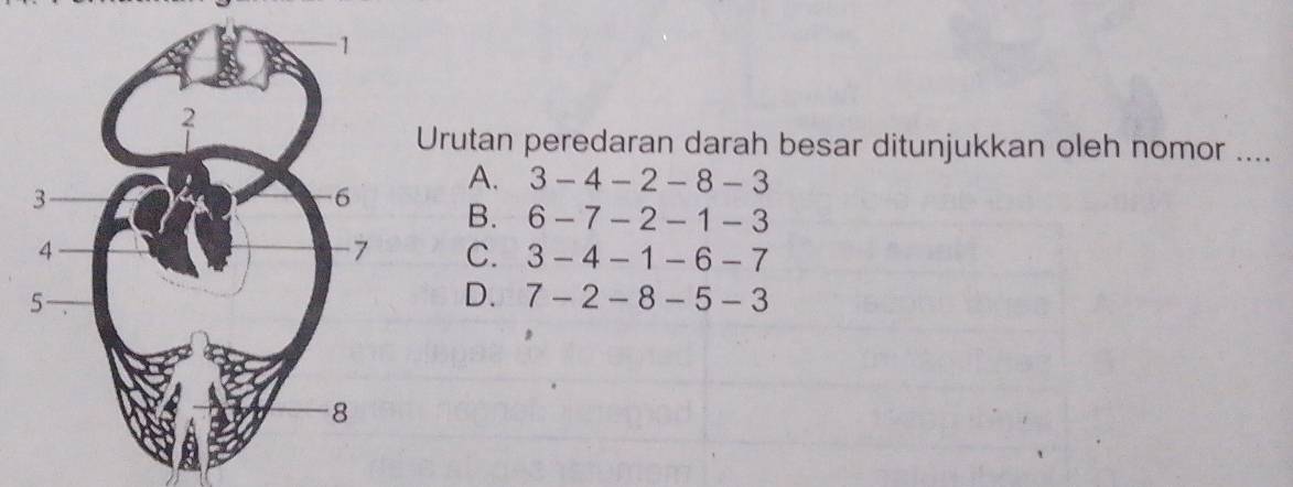 Urutan peredaran darah besar ditunjukkan oleh nomor ....
A. 3-4-2-8-3
B. 6-7-2-1-3
C. 3-4-1-6-7
D. 7-2-8-5-3