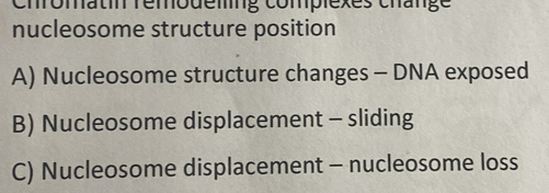 Chromatin remodemng complexes change
nucleosome structure position
A) Nucleosome structure changes - DNA exposed
B) Nucleosome displacement - sliding
C) Nucleosome displacement - nucleosome loss