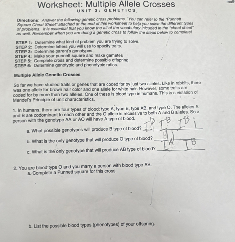 Worksheet: Multiple Allele Crosses moth 
U N I T 3 ： G EN E T ICS 
Directions: Answer the following genetic cross problems. "You can refer to the 'Punnett 
Square Cheat Sheet" attached at the end of this worksheet to help you solve the different types 
of problems. It is essential that you know the all of the vocabulary inicuded in the "cheat sheet" 
as well. Remember when you are doing a genetic cross to follow the steps below to complete! 
STEP 1: Determine what kind of problem you are trying to solve. 
STEP 2: Determine letters you will use to specify traits. 
STEP 3: Determine parent's genotypes. 
STEP 4 : Make your punnett square and make gametes 
STEP 5 : Complete cross and determine possible offspring. 
STEP 6: Determine genotypic and phenotypic ratios. 
Multiple Allele Genetic Crosses 
So far we have studied traits or genes that are coded for by just two alleles. Like in rabbits, there 
was one allele for brown hair color and one allele for white hair. However, some traits are 
coded for by more than two alleles. One of these is blood type in humans. This is a violation of 
Mendel's Principle of unit characteristics. 
1. In humans, there are four types of blood; type A, type B, type AB, and type O. The alleles A 
and B are codominant to each other and the O allele is recessive to both A and B alleles. So a 
person with the genotype AA or AO will have A type of blood. 
a. What possible genotypes will produce B type of blood?_ 
b. What is the only genotype that will produce O type of blood?_ 
c. What is the only genotype that will produce AB type of blood?_ 
2. You are blood type O and you marry a person with blood type AB. 
a. Complete a Punnett square for this cross. 
b. List the possible blood types (phenotypes) of your offspring.