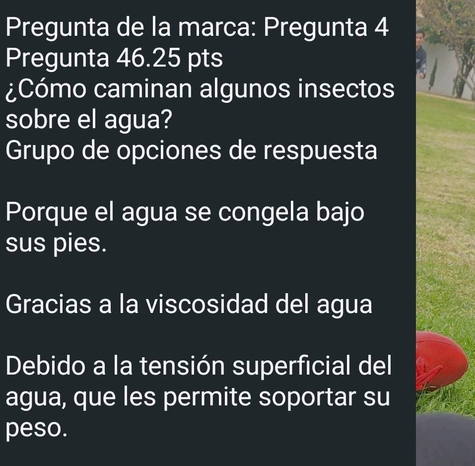 Pregunta de la marca: Pregunta 4
Pregunta 46.25 pts
¿Cómo caminan algunos insectos
sobre el agua?
Grupo de opciones de respuesta
Porque el agua se congela bajo
sus pies.
Gracias a la viscosidad del agua
Debido a la tensión superficial del
agua, que les permite soportar su
peso.