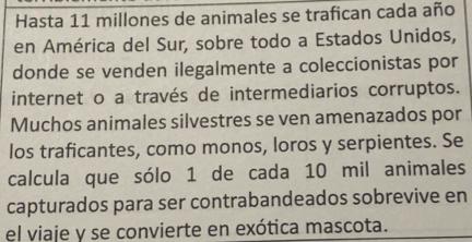 Hasta 11 millones de animales se trafican cada año 
en América del Sur, sobre todo a Estados Unidos, 
donde se venden ilegalmente a coleccionistas por 
internet o a través de intermediarios corruptos. 
Muchos animales silvestres se ven amenazados por 
los traficantes, como monos, loros y serpientes. Se 
calcula que sólo 1 de cada 10 mil animales 
capturados para ser contrabandeados sobrevive en 
el viaje y se convierte en exótica mascota.