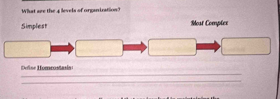 What are the 4 levels of organization?
Simplest
Most Complex
Define Homeostasis
_
_