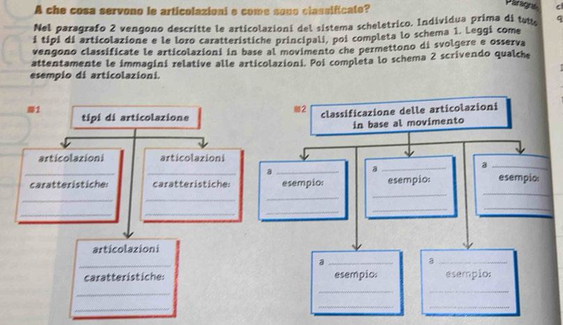 A che cosa servono le articolazioni e come sono classificate? 
Paragpão C 
Nel paragrafo 2 vengono descritte le articolazioni del sistema scheletrico. Individua prima di tut q 
i tipi di articolazione e le loro caratteristiche principali, poi completa lo schema 1. Leggi come 
vengono classificate le articolazioni in base al movimento che permettono di svolgere e osserva 
attentamente le immagini relative alle articolazioni. Poi completa lo schema 2 scrivendo qualche 
esempio di articolazioni. 
■1 
2 
tipi di articolazione classificazione delle articolazioni 
in base al movimento 
articolazioni articolazioni 
__ 
_a 
_a 
_a 
_ 
caratteristicher caratteristiche: esempio: esempio: esempio: 
_ 
_ 
_ 
_ 
_ 
_ 
_ 
_ 
_ 
articolazioni 
_ 
_a 
_ 
caratteristiche: esempio: esempio: 
_ 
_ 
_ 
_ 
__