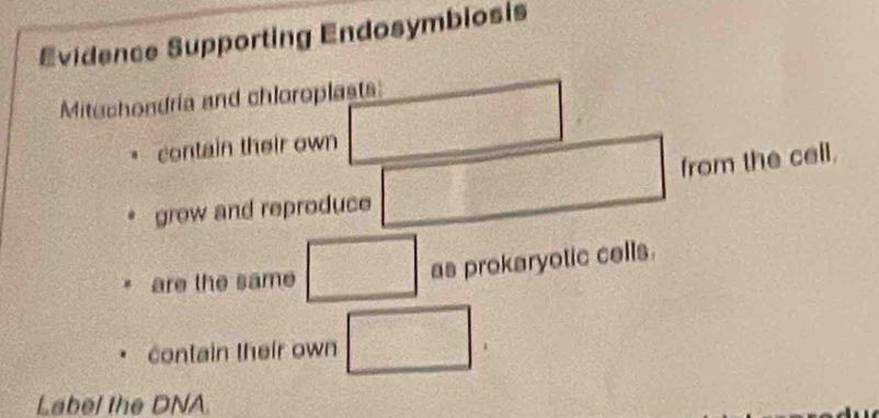 Evidence Supporting Endosymbiosis 
Mitechondria and chloroplasts 
contain their own 
from the cell. 
grow and reproduce x= 3/4 
are the same □ as prokaryotic cells. 
contain their own □. 
Label the DNA.