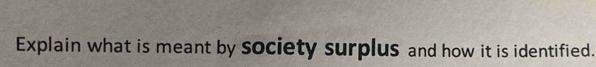 Explain what is meant by society surplus and how it is identified.