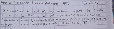 Maria Fernonda Sanchet Ambrocio goF (7 NO 24 
Determing la intensidad del cameo electrice en cn ponle media "p rntnc 
doscargas q_1=q_nC M q_2=6nC separadas "" C, l4 mis. Calcula 
fomblen ba fuerea gue achona sobve una corgo de 3nC, s) sc cobcaro en 
el pl de esas mismas cargas e indicarel senhdo del vector E.