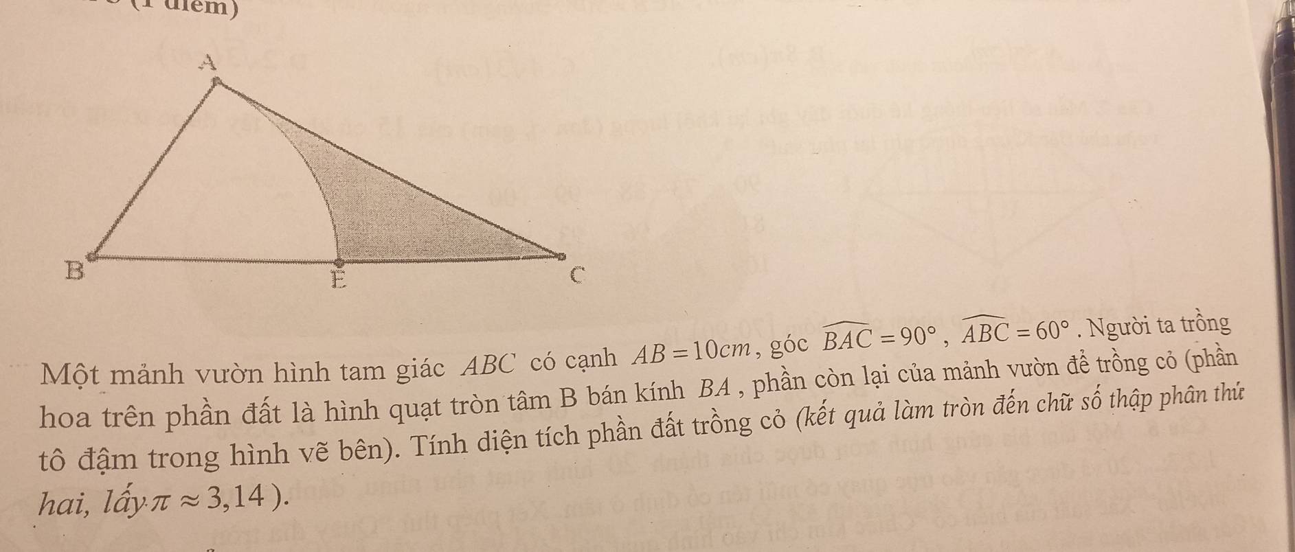 (1 ulém) 
Một mảnh vườn hình tam giác ABC có cạnh AB=10cm , góc widehat BAC=90°, widehat ABC=60°. Người ta trồng 
hoa trên phần đất là hình quạt tròn tâm B bán kính BA , phần còn lại của mảnh vườn để trồng cỏ (phần 
tô đậm trong hình vẽ bên). Tính diện tích phần đất trồng cỏ (kết quả làm tròn đến chữ số thập phân thứ 
hai, lấy π approx 3,14).