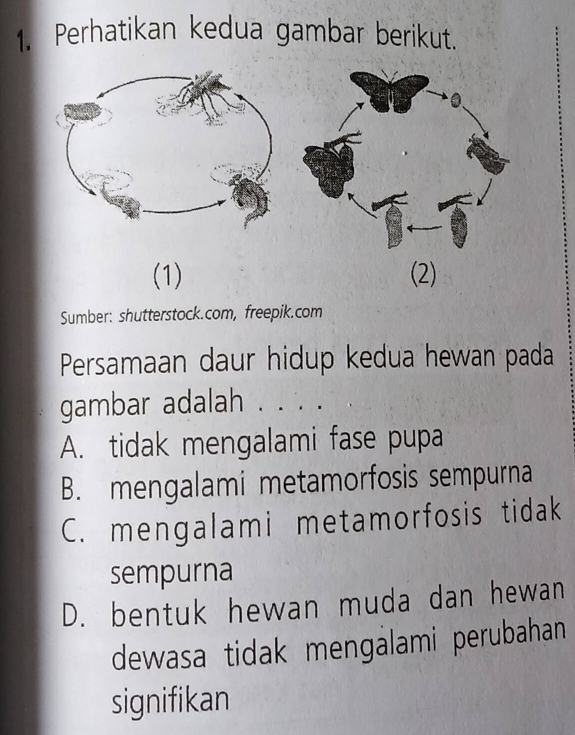 Perhatikan kedua gambar berikut.
(1) (2)
Sumber: shutterstock.com, freepik.com
Persamaan daur hidup kedua hewan pada
gambar adalah . . . .
A. tidak mengalami fase pupa
B. mengalami metamorfosis sempurna
C. mengalami metamorfosis tidak
sempurna
D. bentuk hewan muda dan hewan
dewasa tidak mengalami perubahan 
signifikan