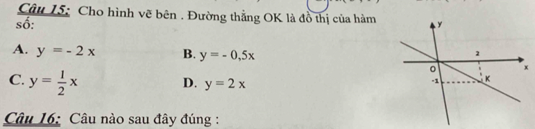 Cho hình vẽ bên . Đường thẳng OK là đồ thị của hàm
số:
A. y=-2x B. y=-0,5x
C. y= 1/2 x
D. y=2x
Câu 16: Câu nào sau đây đúng :