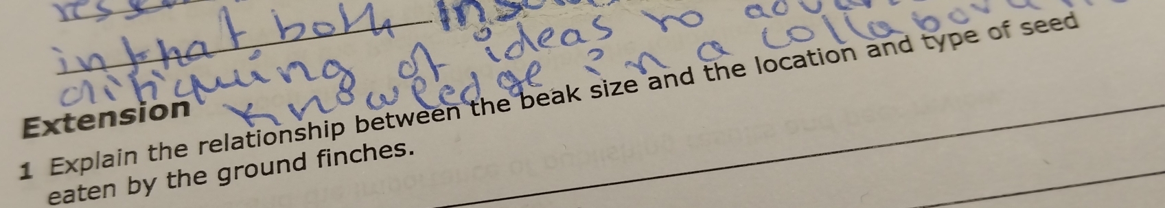 Explain the relationship between the beak size and the location and type of seed 
Extension 
_ 
eaten by the ground finches.