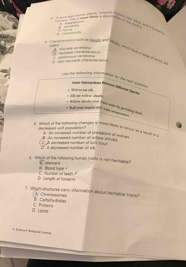humans. This is most likely a description of the duck's
3. A duck eats mostly plants, inhabits regions near lakes, and is hunted b
B. Variability A. Adaptations
D. Community a Niche
called
A. discrete variations
4. Characteristics such as height and weight, which have a range of forms, an
B heritable characteristics
C. continuous variations
D. non-heritable characteristics
Use the following information for the next question
Some Interactions Between Different Specie
Wolves eat elk.
Elk eat willow shrubs,
Willow shrubs cool warm water by providing shade
Bull trout require cool water temperatures
decreased wolf population?
5. Which of the following changes is most likely to occur as a result of a
A. An increased number of predators of wolves
B. An increased number of willow shrubs
C. A decreased number of bull trout
D. A decreased number of elk
6. Which of the following human traits is not heritable?
A Manners
B. Blood type
C. Number of teeth
D. Length of forearm
7. Which structures carry information about heritable traits?
A Chromosomes
B. Carbohydrates
C. Proteins
D. Lipids
4 - Science 9: Biological Diversity