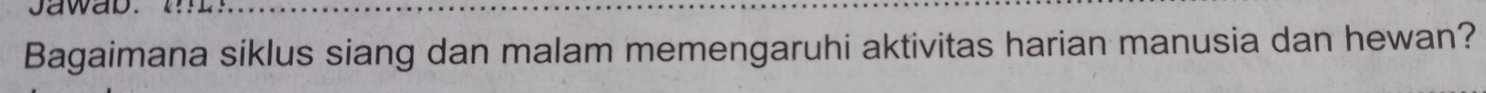 Jawab. 
Bagaimana siklus siang dan malam memengaruhi aktivitas harian manusia dan hewan?