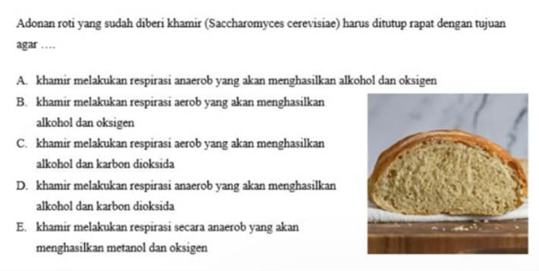 Adonan roti yang sudah diberi khamir (Saccharomyces cerevisiae) harus ditutup rapat dengan tujuan
agar …_
A. khamir melakukan respirasi anaerob yang akan menghasilkan alkohol dan oksigen
B. khamir melakukan respirasi aerob yang akan menghasilkan
alkohol dan oksigen
C. khamir melakukan respirasi aerob yang akan menghasilkan
alkohol dan karbon dioksida
D. khamir melakukan respirasi anaerob yang akan menghasilkan
alkohol dan karbon dioksida
E. khamir melakukan respirasi secara anaerob yang akan
menghasilkan metanol dan oksigen