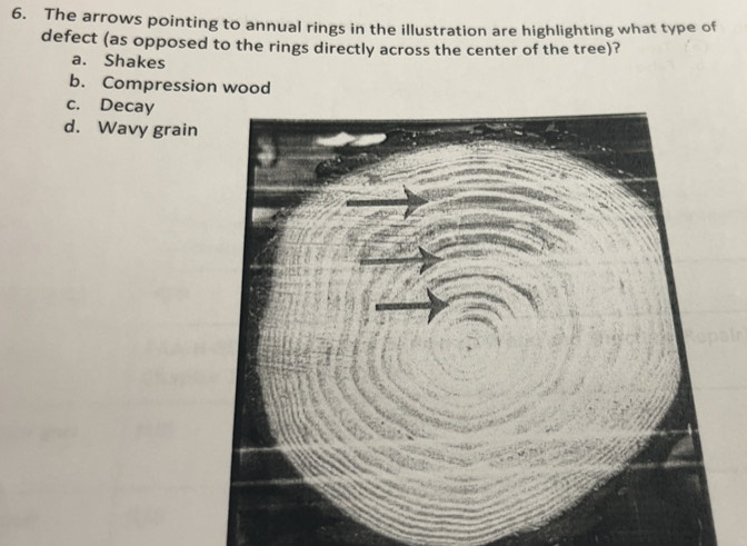 Solved: The arrows pointing to annual rings in the illustration are ...
