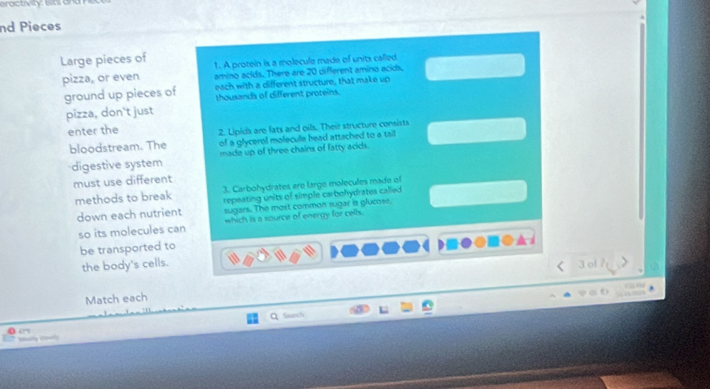 roctivity Bi an 
nd Pieces 
Large pieces of 1. A protein is a molecule made of units called 
pizza, or even amino acids. There are 20 different amino acids. 
ground up pieces of each with a different structure, that make up 
thousands of different proteins. 
pizza, don't just 
enter the 
2. Lipida are fats and oils. Their structure consists 
bloodstream. The of a glycerol molecule head attached to a tail 
digestive system made up of three chains of fatty acids. 
must use different 
methods to break 3. Carbohydrates are large molecules made of 
down each nutrient repeating units of simple carbohydrates called . 
sugars. The most common sugar is glucose, 
so its molecules can which is a source of energy for cells. 
be transported to 
the body's cells. 3 of 7
Match each 
Q Sanch