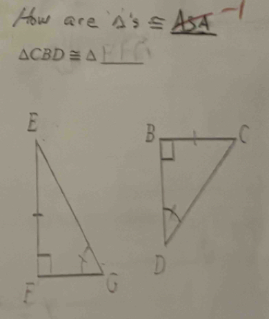 How are 's's C
_
△ CBD≌ △ _