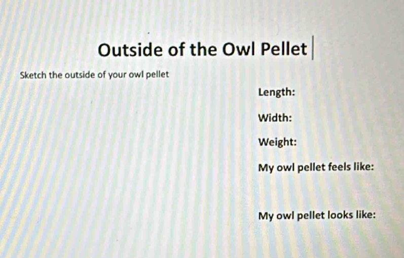 Outside of the Owl Pellet 
Sketch the outside of your owl pellet 
Length: 
Width: 
Weight: 
My owl pellet feels like: 
My owl pellet looks like: