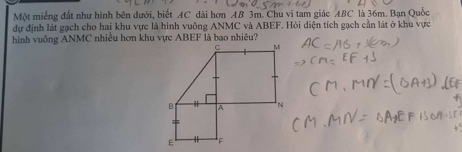 Một miếng đất như hình bên dưới, biết AC dài hơn AB 3m. Chu vi tam giác ABC là 36m. Bạn Quốc 
dự định lát gạch cho hai khu vực là hình vuông ANMC và ABEF. Hỏi diện tích gạch cần lát ở khu vực 
hình vuông ANMC nhiều hơn khu vực ABEF là bao nhiêu?