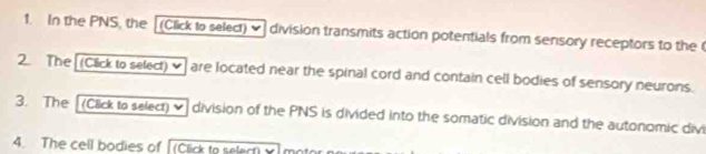 In the PNS, the [(Click to select) division transmits action potentials from sensory receptors to the 
2. The [(Click to select) ✔] are located near the spinal cord and contain cell bodies of sensory neurons. 
3. The [(Click to select) ]division of the PNS is divided into the somatic division and the autonomic divi 
4. The cell bodies of [(Click to select) y]