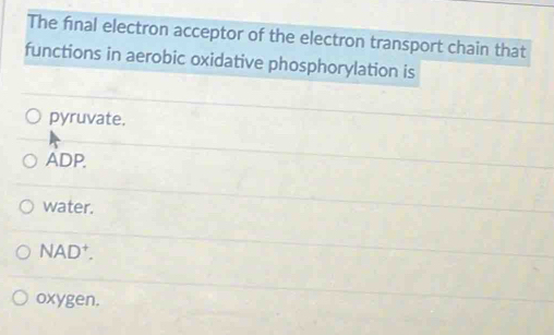 The final electron acceptor of the electron transport chain that
functions in aerobic oxidative phosphorylation is
pyruvate.
ADP.
water.
NAD^+.
oxygen.