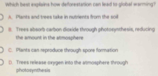 Which best explains how deforestation can lead to global warming?
A. Plants and trees take in nutrients from the soil
B. Trees absorb carbon dioxide through photosynthesis, reducing
the amount in the atmosphere
C. Plants can reproduce through spore formation
D. Trees release oxygen into the atmosphere through
photosynthesis