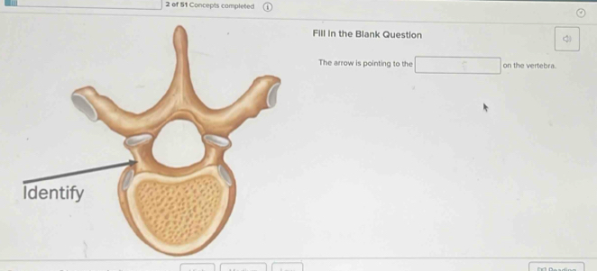 of 51 Concepts completed 
Fill in the Blank Question 
The arrow is pointing to the □ on the vertebra.