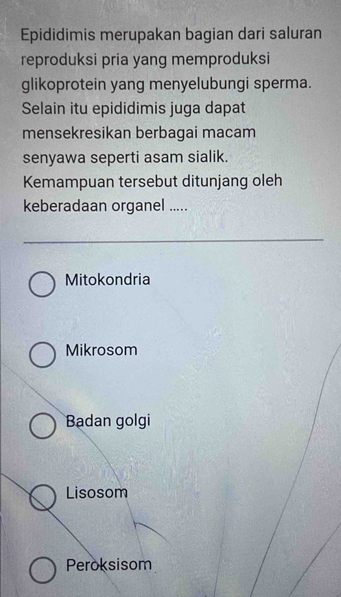 Epididimis merupakan bagian dari saluran
reproduksi pria yang memproduksi
glikoprotein yang menyelubungi sperma.
Selain itu epididimis juga dapat
mensekresikan berbagai macam
senyawa seperti asam sialik.
Kemampuan tersebut ditunjang oleh
keberadaan organel .....
Mitokondria
Mikrosom
Badan golgi
Lisosom
Peroksisom