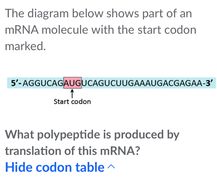 Solved: The diagram below shows part of an mRNA molecule with the start ...