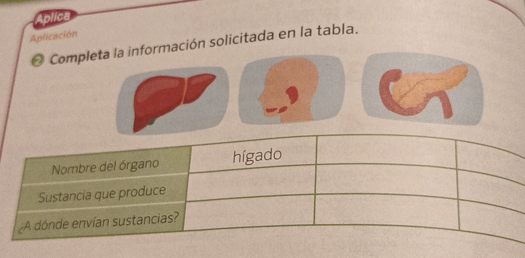 Aplica 
Aplicación 
O Completa la información solicitada en la tabla.