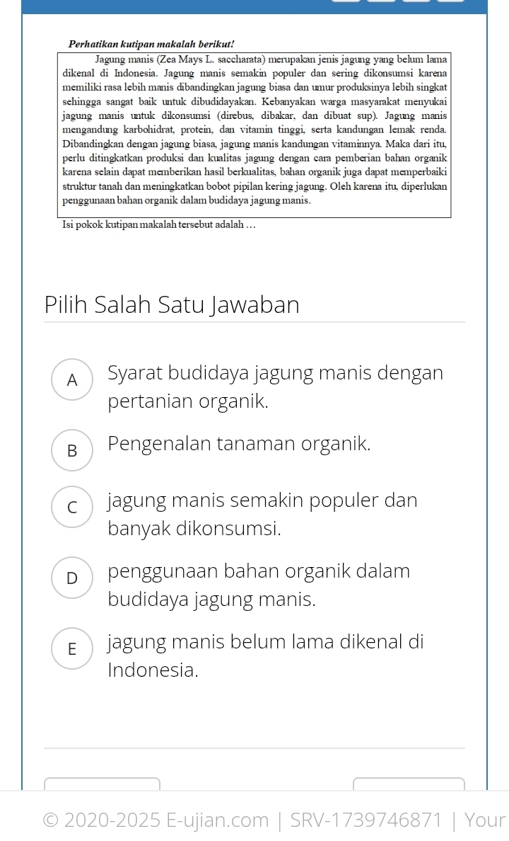 Perhatikan kutipan makalah berikut!
Jagung manis (Zea Mays L. saccharata) merupakan jenis jagung yang belum lama
dikenal di Indonesia. Jagung manis semakin populer dan sering dikonsumsi karena
memiliki rasa lebih manis dibandingkan jagung biasa dan umur produksinya lebih singkat
sehingga sangat baik untuk dibudidayakan. Kebanyakan warga masyarakat menyukai
jagung manis untuk dikonsumsi (direbus, dibakar, dan dibuat sup). Jagung manis
mengandung karbohidrat, protein, dan vitamin tinggi, serta kandungan lemak renda.
Dibandingkan dengan jagung biasa, jagung manis kandungan vitaminnya. Maka dari itu,
perlu ditingkatkan produksi dan kualitas jagung dengan cara pemberian bahan organik
karena selain dapat memberikan hasil berkualitas, bahan organik juga dapat memperbaiki
struktur tanah dan meningkatkan bobot pipilan kering jagung. Oleh karena itu, diperlukan
penggunaan bahan organik dalam budidaya jagung manis.
Isi pokok kutipan makalah tersebut adalah … .
Pilih Salah Satu Jawaban
A Syarat budidaya jagung manis dengan
pertanian organik.
B Pengenalan tanaman organik.
c jagung manis semakin populer dan
banyak dikonsumsi.
D penggunaan bahan organik dalam
budidaya jagung manis.
E jagung manis belum lama dikenal di
Indonesia.
_
_
© 2020-2025 E-ujian.com | SRV-1739746871 | Your