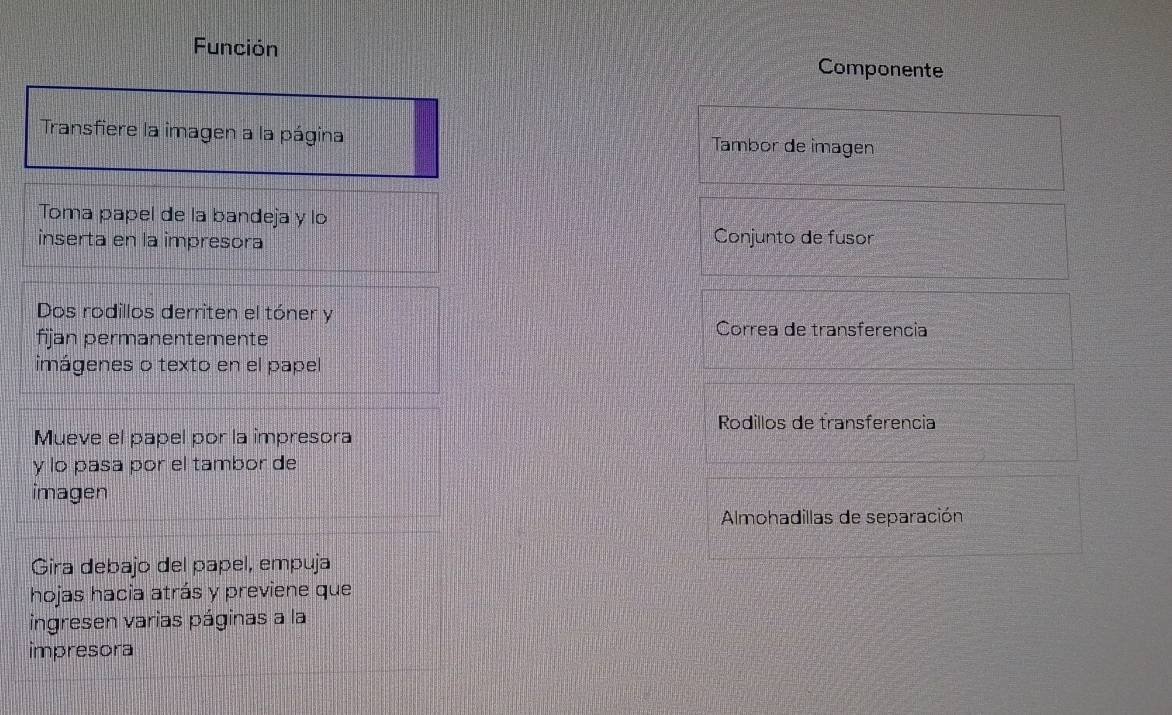 Función Componente 
Transfiere la imagen a la página Tambor de imagen 
Toma papel de la bandeja y lo 
inserta en la impresora 
Conjunto de fusor 
Dos rodillos derriten el tóner y 
fijan permanentemente 
Correa de transferencia 
imágenes o texto en el papel 
Rodillos de transferencia 
Mueve el papel por la impresora 
y lo pasa por el tambor de 
imagen 
Almohadillas de separación 
Gira debajo del papel, empuja 
hojas hacia atrás y previene que 
ingresen varias páginas a la 
impresora