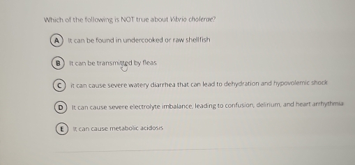 Which of the following is NOT true about Vibrio cholerue?
A It can be found in undercooked or raw shellfish
BIt can be transmitted by fleas
C)it can cause severe watery diarrhea that can lead to dehydration and hypovolemic shock
D) It can cause severe electrolyte imbalance, leading to confusion, delirium, and heart arrhythmia
E It can cause metabolic acidosis