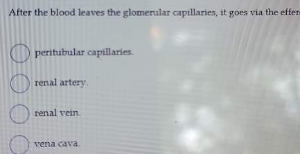 After the blood leaves the glomerular capillaries, it goes via the effer
peritubular capillaries.
renal artery.
renal vein.
vena cava.